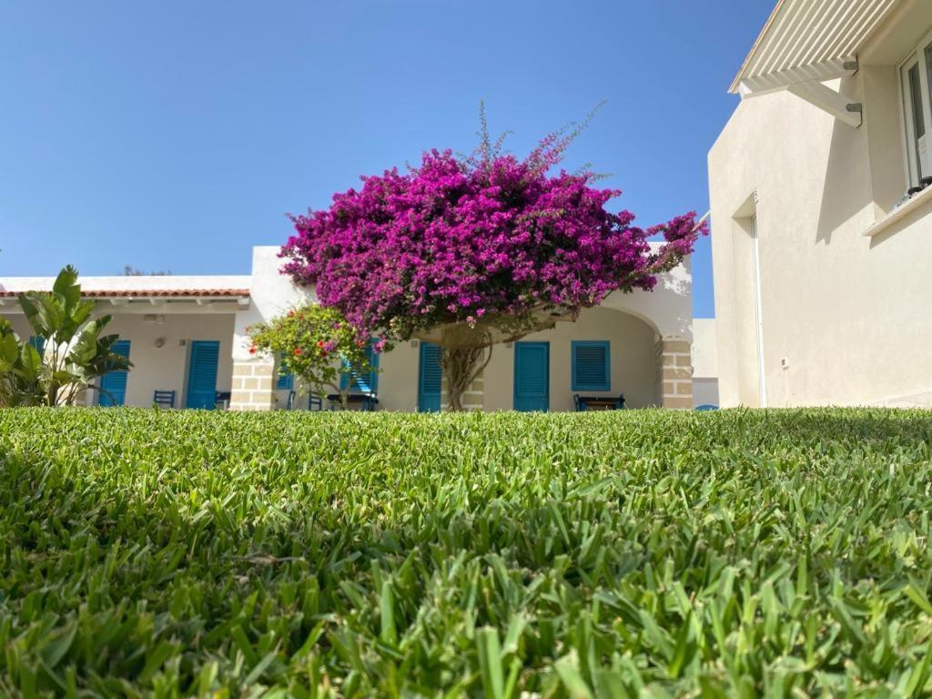Antichi Mulini Hotel Favignana Exterior photo